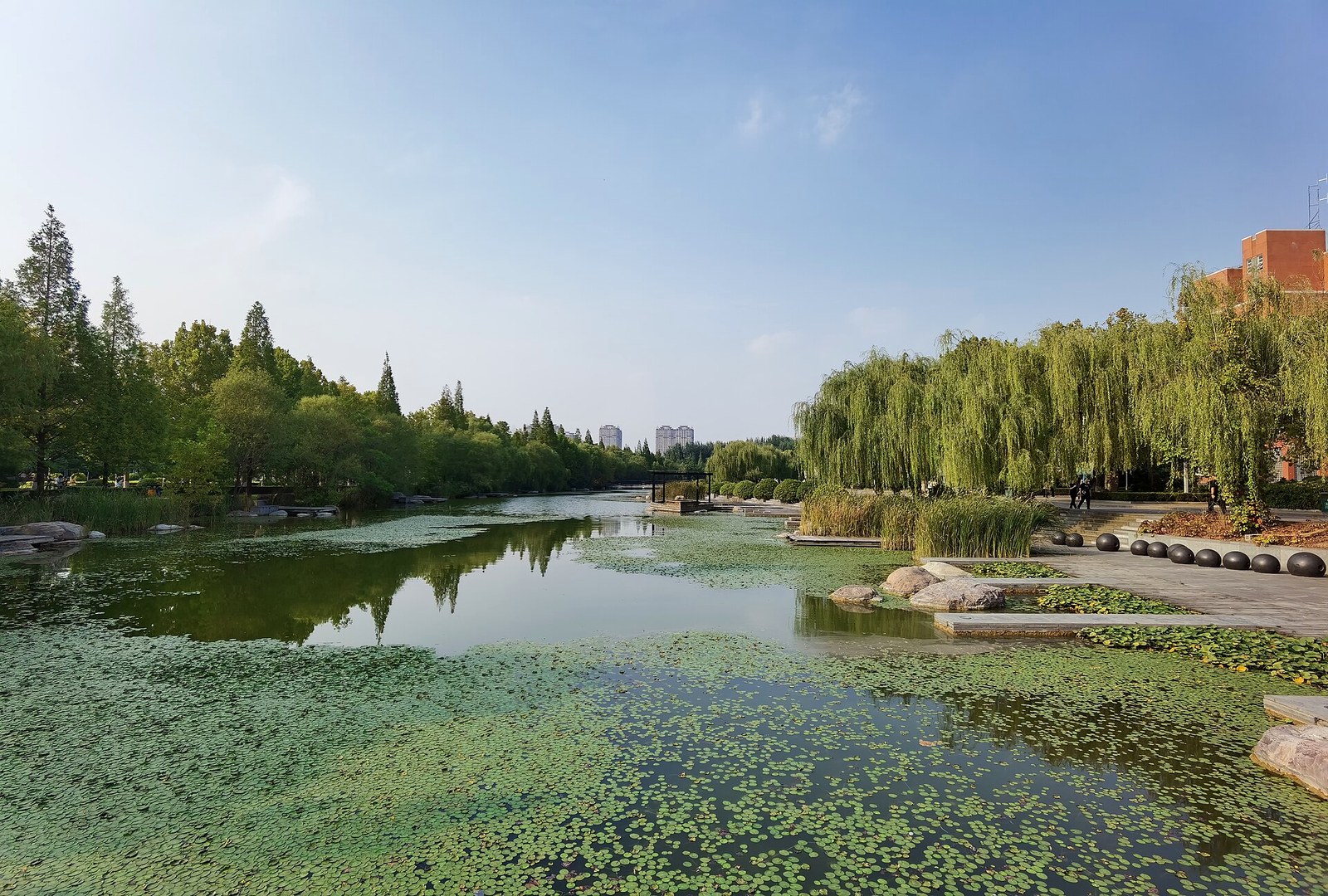 郑州大学眉湖